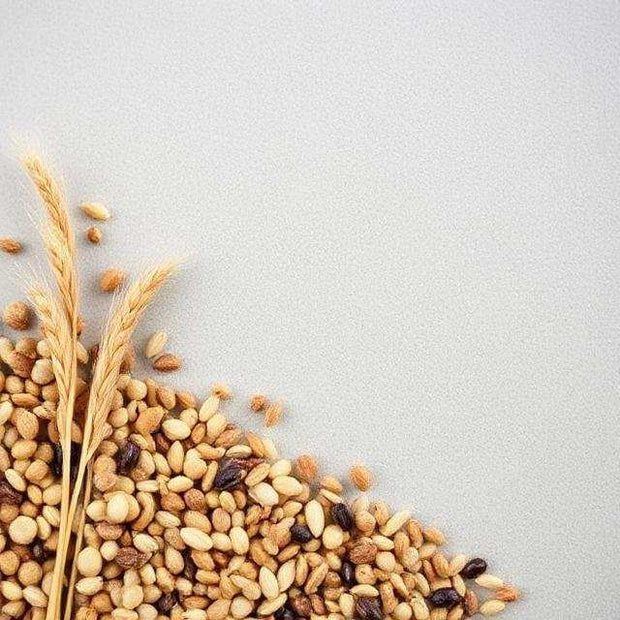 Grains & Seeds